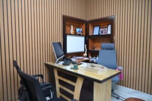 Empty consultation room with spine model